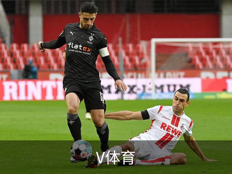 V体育介绍